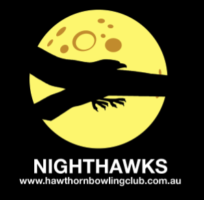 NightHawks logo